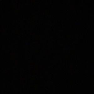 Meet your Posher, Brady